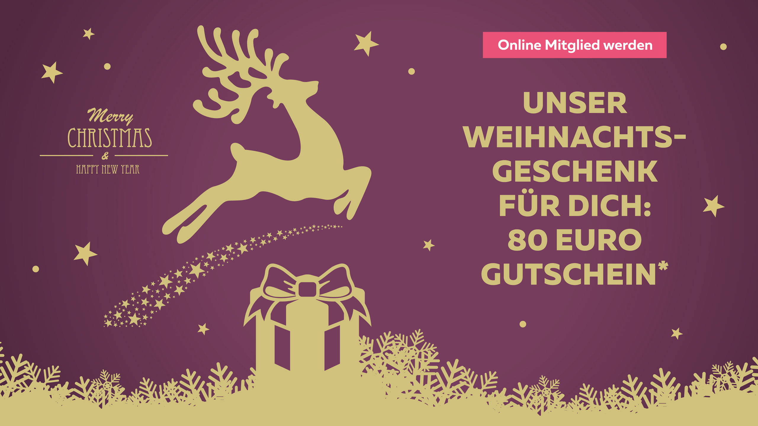 251111_Web_Header_mobile_Dezember_Aktion 240220_Web_Header_März_Solingen_ohne_Button